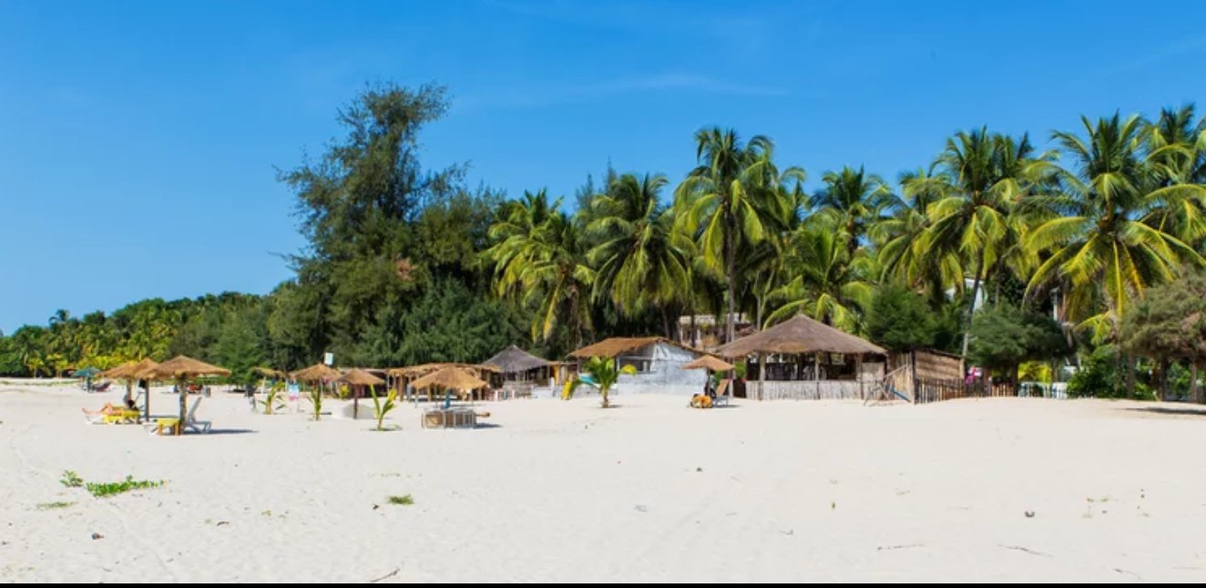 Plage de sable blanc bordée de cocotiers